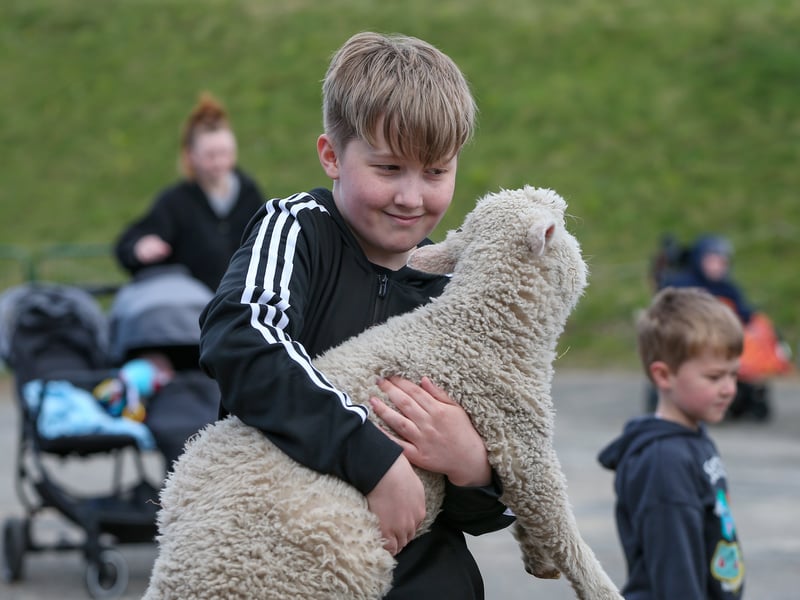 Josh List, 12, with a lamb. Picture: Chris Moorhouse (160425-56)