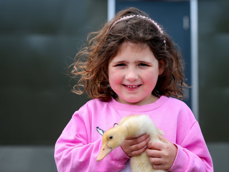 Sophia, 5, with a duck. Picture: Chris Moorhouse (160425-59)