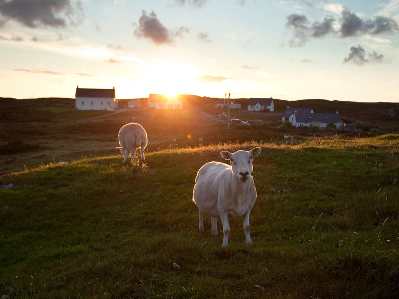 With a sparse permanent population, Coll in the Inner Hebrides is another excellent spot for stargazing in Scotland. Designated as a Dark Sky Community in 2013, like Moffat it has adopted an outdoor lighting plan to ensure the sky remains dark for future generations. 
