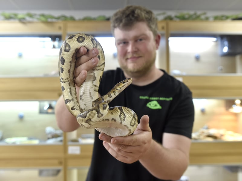 Joshua Lattimer-Hedley, owner of South Coast Reptiles which has opened in Wellington Way, Waterlooville.

Picture: Sarah Standing (180425-1951)