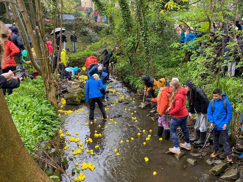 Large crowds braved the wet weather to watch the race last year and cheer on their ducks in the hope of winning a prize.

Many will hope for better weather this year on Bank Holiday Monday. All proceeds go to Friends of Porter Valley, a charitable community group which looks after the parks in Sheffield.