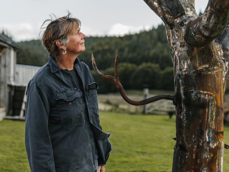 Helen Denerley's work combines observation and drawing skillswith a love of the natural world and all the technical aspects of working in metal. 