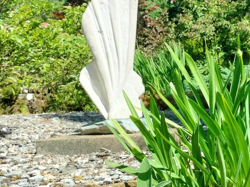 Shell fragment by Tom Allan