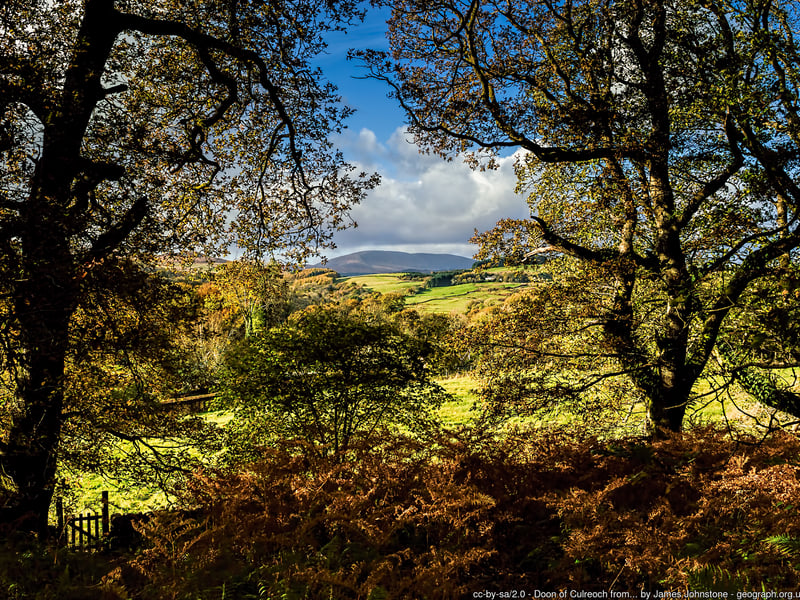 This ancient oak wood, which is one of the largest semi-natural broadleaved woodlands in Galloway, is renowned for its spectacular springtime bluebell display.
There’s a a number of marked routes that offer roe deer and red squirrel sightings.