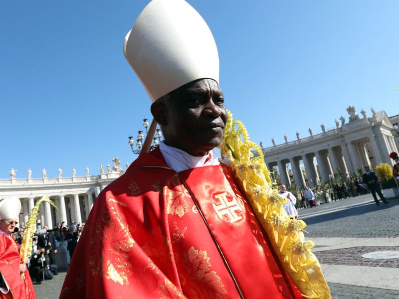 Former Archbishop of Cape Coast Peter Turkson was made a cardinal by Pope John Paul II in 2003. He was thought to be a leading candidate at the last papal conclave in 2013. He has held a number of senior positions, including president of the Pontifical Council for Justice and Peace. He is currently chancellor of the Pontifical Academies of Sciences.