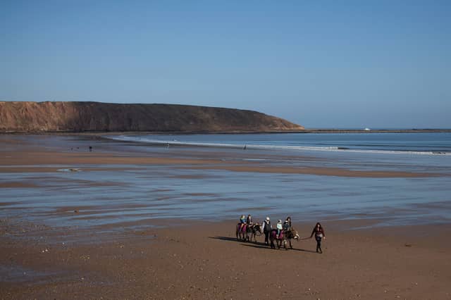 Immerse yourself in the vibrant atmosphere and traditional melodies of the Filey Folk Festival. Taking place from Friday, May 2nd to Sunday, May 4th, 2025, this festival brings together talented folk musicians and enthusiasts in the charming seaside town of Filey.