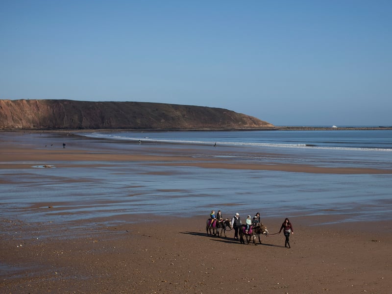 Immerse yourself in the vibrant atmosphere and traditional melodies of the Filey Folk Festival. Taking place from Friday, May 2nd to Sunday, May 4th, 2025, this festival brings together talented folk musicians and enthusiasts in the charming seaside town of Filey.