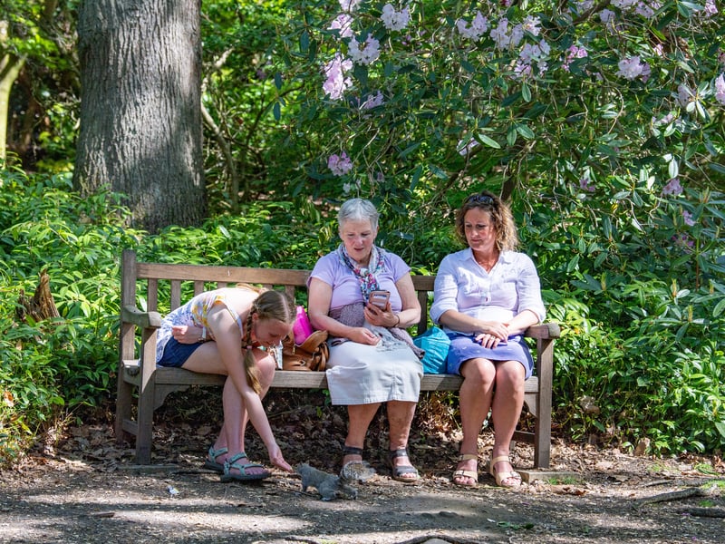 Visitors Lottie Akers, Janet Mills and Sally Akers fed the grey squirrels in the park.