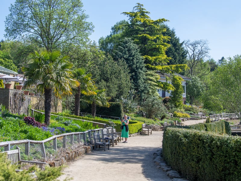A serene, picturesque, and very accessible park. The well-maintained paths are great for pushchairs and younger children. Features include beautiful seasonal gardens, a circular walk around the lake (Paul's Pond), ample space for picnics, and connections to the longer Meanwood Valley Trail. 📍 Arthington Road, Bramhope, Leeds, LS16 8BQ