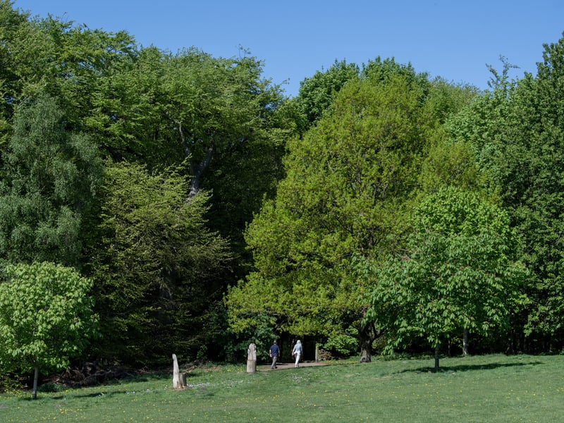 Golden Acre Park was full of people enjoying nature, sunshine and fresh air.