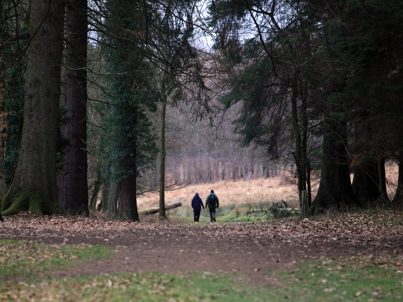 The ancient and mystical woodlands of the Forest of Dean contributed to the forest landscapes of the Resistance base on D'Qar in The Force Awakens, offering a sense of natural beauty and hidden refuge.