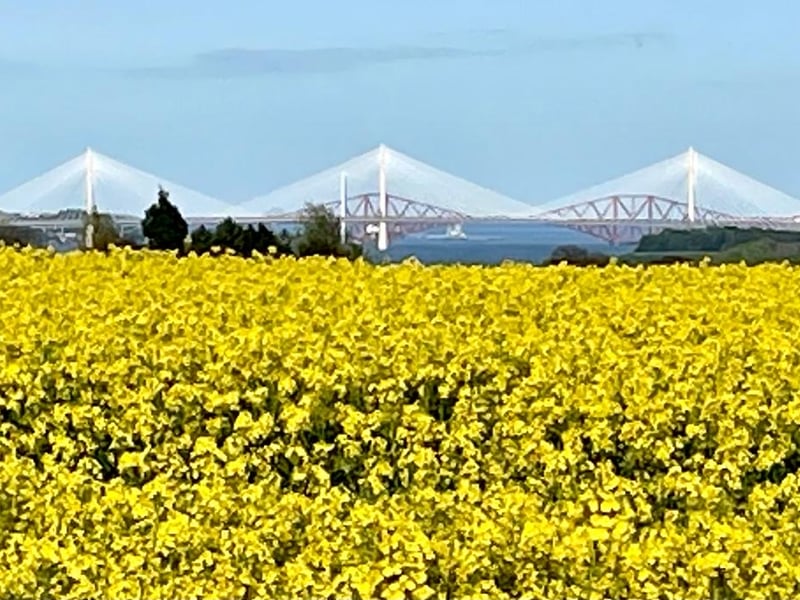 A view of the Forth bridges from Blackness.