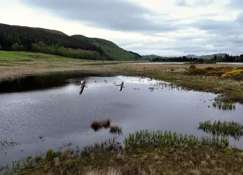 The Ulva peninsula and the Isle of Danna is an important and rare habitat for wildlife.