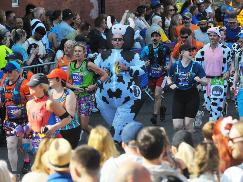 There were plenty of entertaining costumes this year.