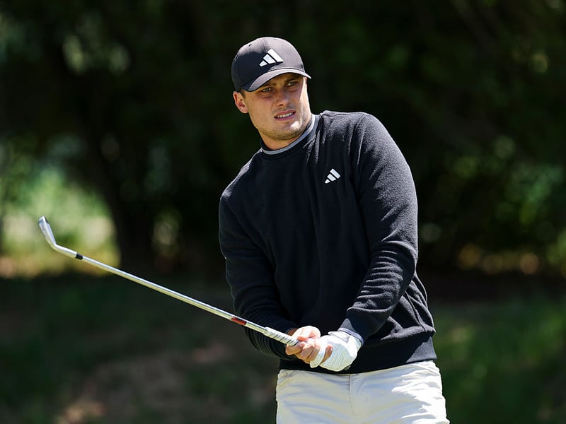 Sweden's Ludvig Åberg only turned professional in June 2023 and has already won titles on both the European Tour and the PGA Tour - as well as coming second in last year's Masters and being part of a winning European Ryder Cup team. Surely it's only a matter of time before he makes his major breakthrough. The bookies have him priced at 24/1 for the title.