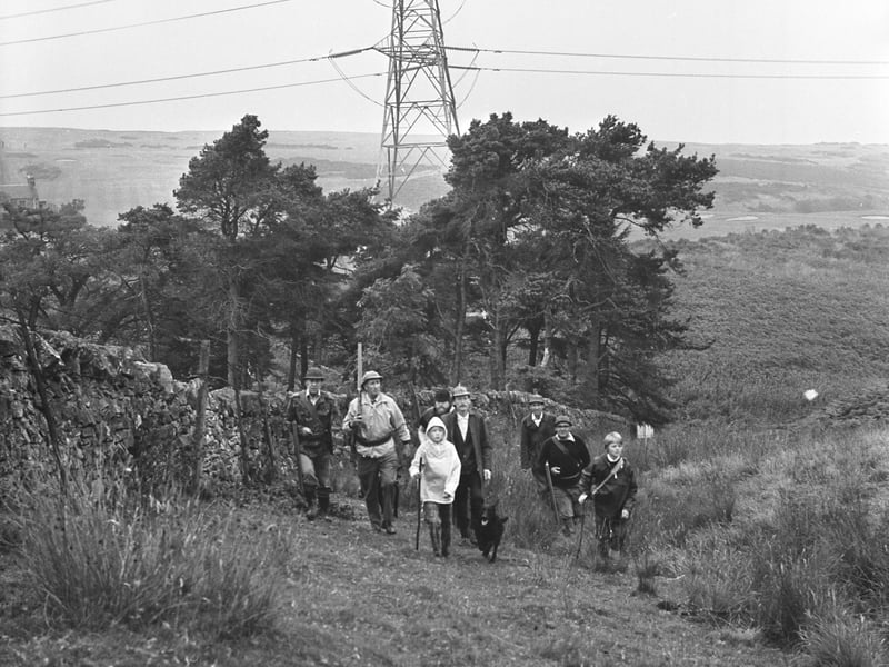 Children take part in the Glorious Twelfth grouse shooting on Colinton Moor in the Pentland hills in August 1976.