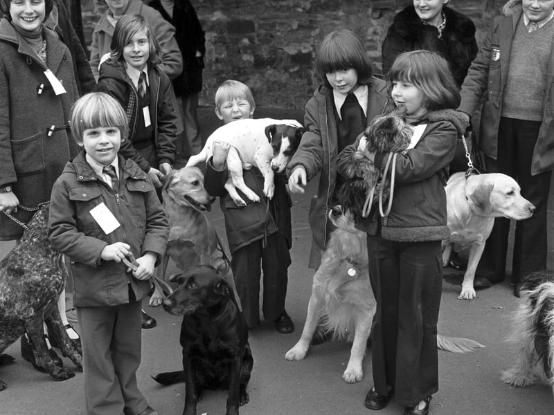 South Morningside primary school pupils hold their dog show in February 1977.