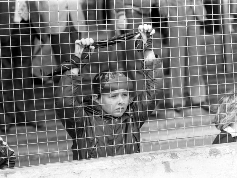 A small boy watching the Hearts v Morton football match through the new fencing at Tynecastle in September 1978.