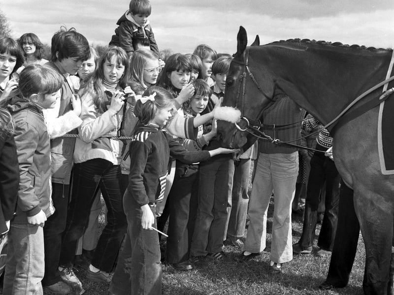 Children queue up to meet the racehorse Red Rum when he makes a guest appearance at Dobbies garden centre near Dalkeith in April 1979.