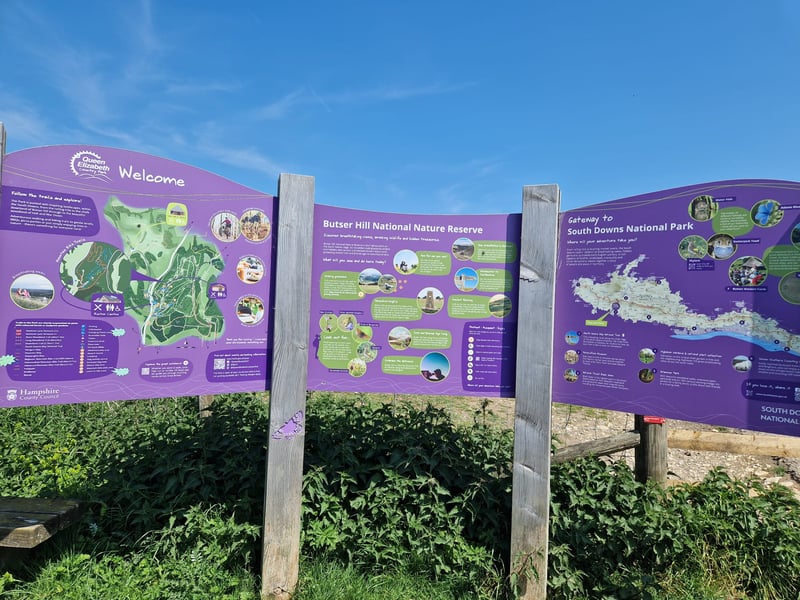 There are so many walks to choose from at Butser Hill which also links to the wider South Downs National Park