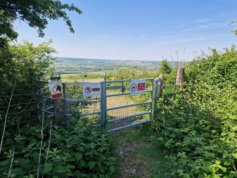 There are a number of paths which take you into areas where there are cattle and horses grazing. 