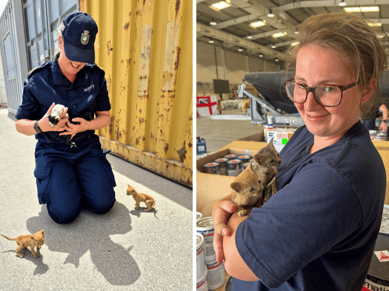 Petty Officer Kirsty Scott looking after the saved kittens.