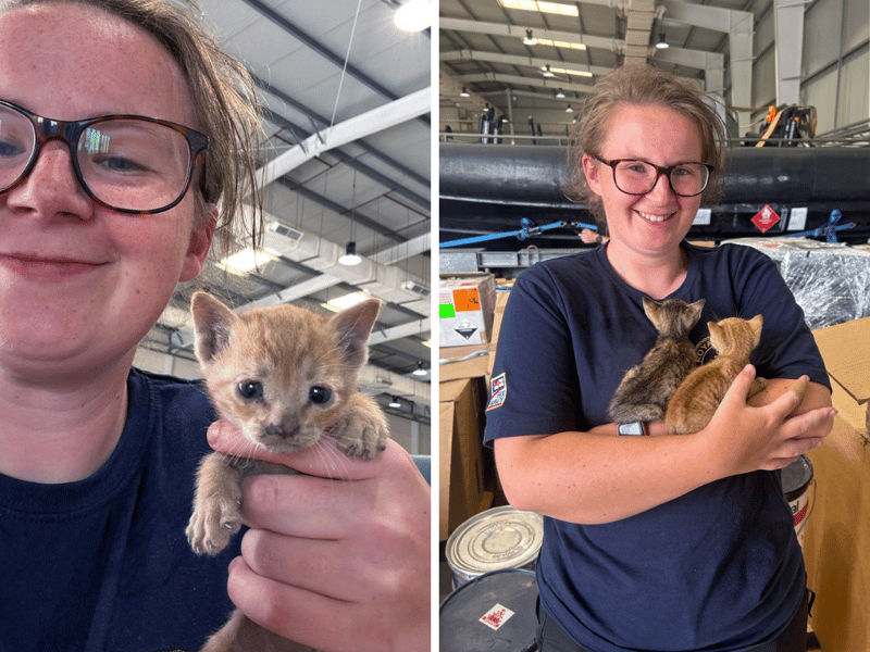 Petty Officer Kirsty Scott with some of the orphaned kittens.
