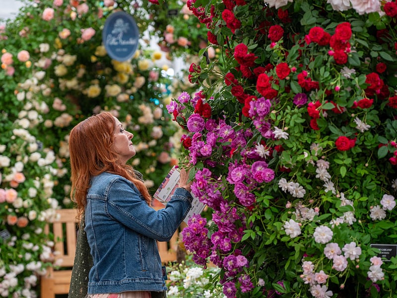 The annual event by the Royal Horticultural Society sees garden designers competing to earn coveted bronze, silver or gold medals with their imaginative landscapes and floral displays.