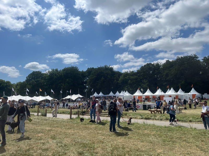 Goodwoof 2025 welcomed thousands of people for a glorious weekend celebration of everything dogs. The event hosted a wonderful array of activities to get stuck into. 