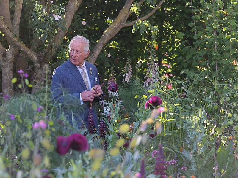 King Charles III, patron of the Royal Horticultural Society, walks through the RHS and BBC Radio 2 Dog Garden.