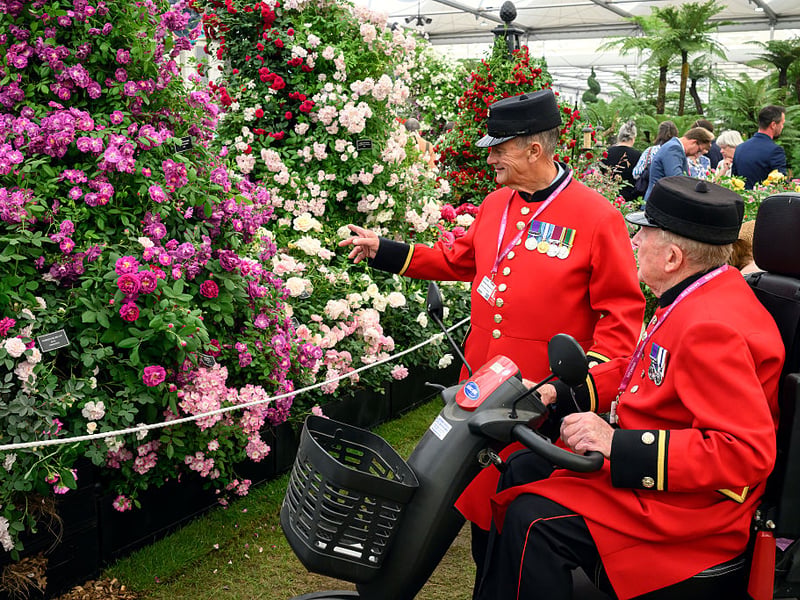 Two Chelsea Pensioners look at a display at the Chelsea Flower Show.