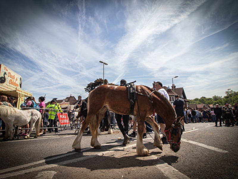 Wickham Horse Fair saw groups flock to the village.
Picture: Habibur Rahman