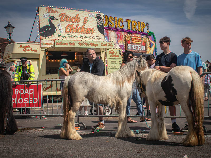 Wickham Horse Fair on Tuesday 20th May 2025
Picture: Habibur Rahman