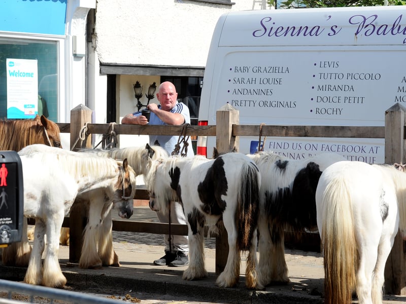 The Wickham Horse Fair took place in Wickham Square, Wickham, on Tuesday, May 20, 2025.
Picture: Sarah Standing (200525-7048)