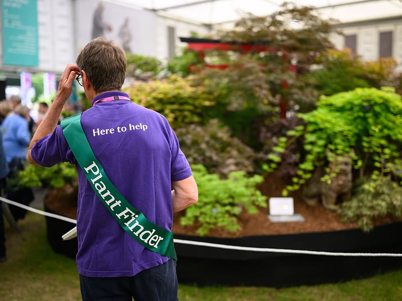 A Royal Horticultural Society volunteer 'Plant Finder' walks through a display area.