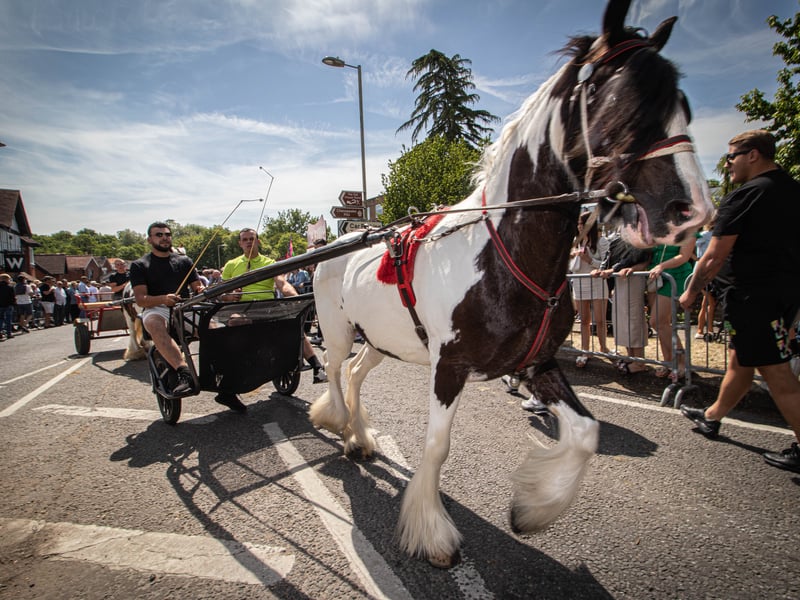 Attendees at Wickham Horse Fair.
Picture: Habibur Rahman