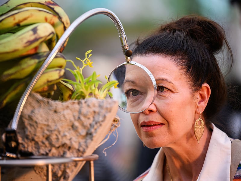A visitor stops to look through a magnifying glass on the 'This Humid House' installation by Tabula Rosa.