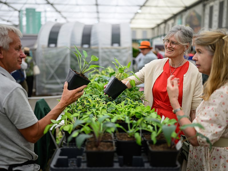 A salesman discusses the prices with two customers at the Chelsea Flower Show on Monday, May 20.