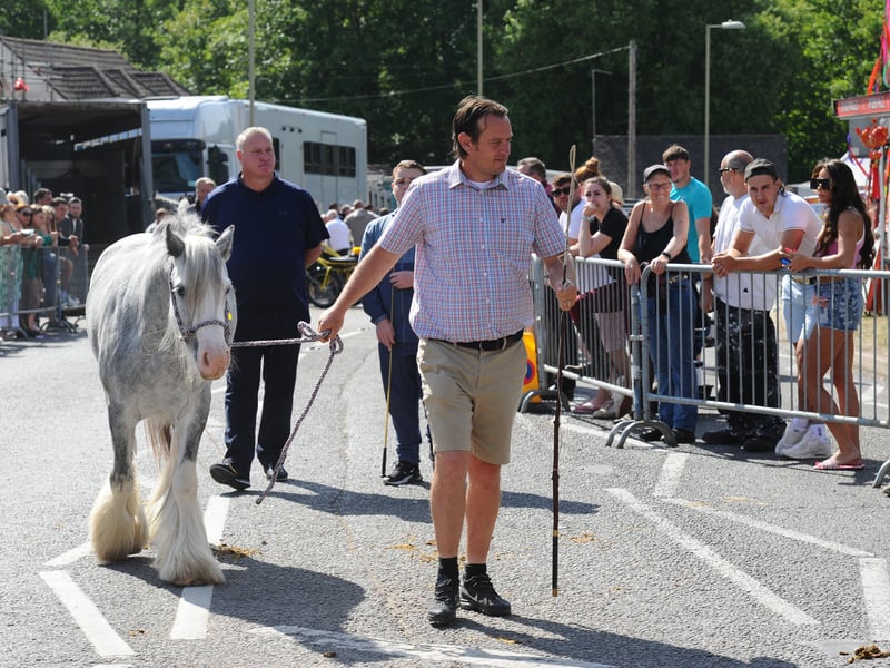 The Wickham Horse Fair took place in Wickham Square, Wickham, on Tuesday, May 20, 2025.
Picture: Sarah Standing (200525-7038)