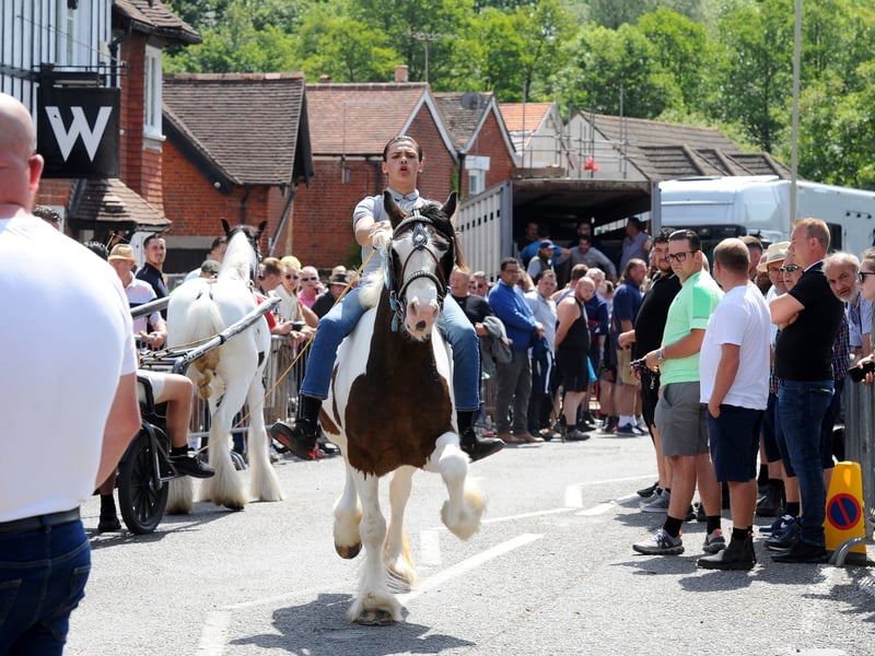 Crowds at the horse fair. Picture: Sarah Standing (200525-7205)