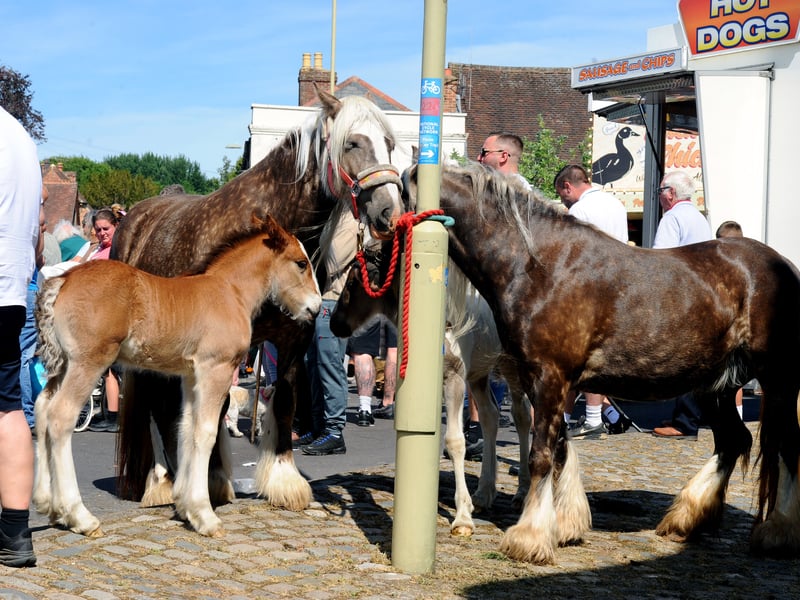 The Wickham Horse Fair took place in Wickham Square, Wickham, on Tuesday, May 20, 2025.

Picture: Sarah Standing (200525-7138)