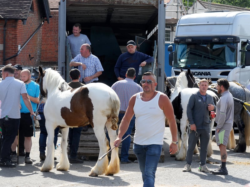 The Wickham Horse Fair took place in Wickham Square, Wickham, on Tuesday, May 20, 2025.
Picture: Sarah Standing (200525-7056)