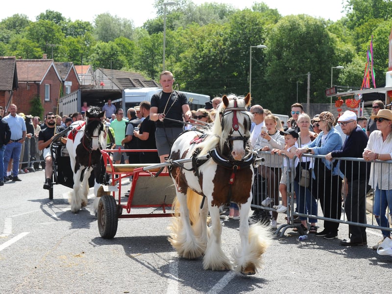 The Wickham Horse Fair took place in Wickham Square, Wickham, on Tuesday, May 20, 2025.
Picture: Sarah Standing (200525-7221)