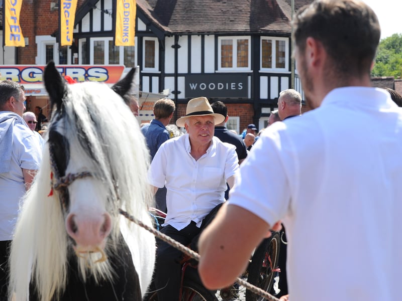 The Wickham Horse Fair took place in Wickham Square, Wickham, on Tuesday, May 20, 2025.
Picture: Sarah Standing (200525-7148)