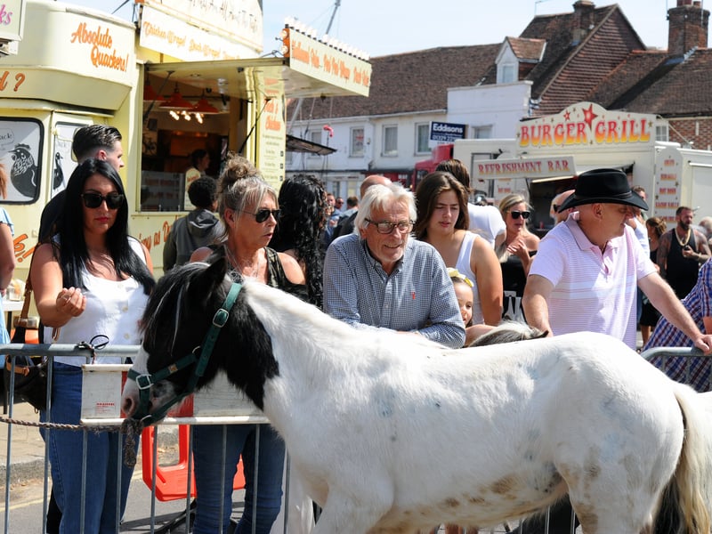 The Wickham Horse Fair took place in Wickham Square, Wickham, on Tuesday, May 20, 2025.
Picture: Sarah Standing (200525-7192)
