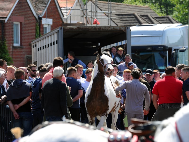The Wickham Horse Fair took place in Wickham Square, Wickham, on Tuesday, May 20, 2025.

Picture: Sarah Standing (200525-7165)