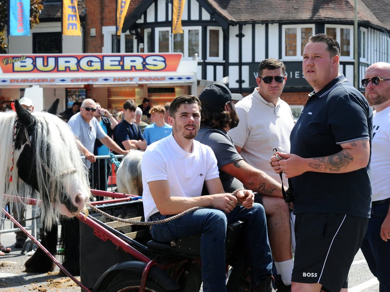 The Wickham Horse Fair took place in Wickham Square, Wickham, on Tuesday, May 20, 2025.
Picture: Sarah Standing (200525-7199)