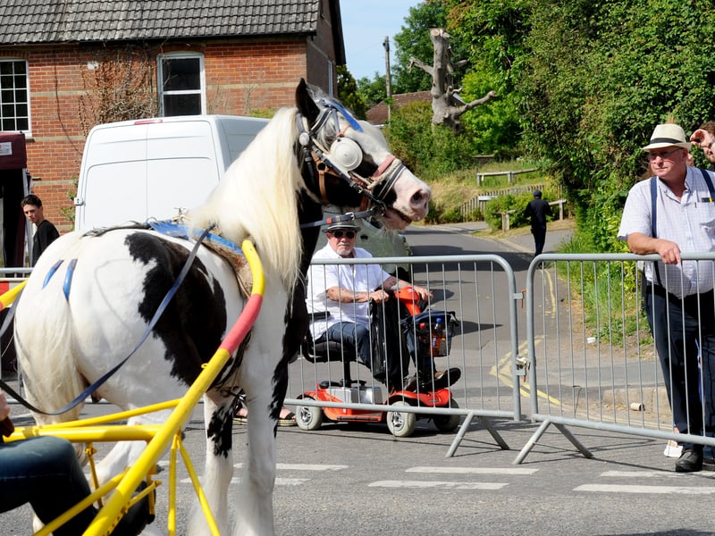 The Wickham Horse Fair took place in Wickham Square, Wickham, on Tuesday, May 20, 2025.
Picture: Sarah Standing (200525-7119)