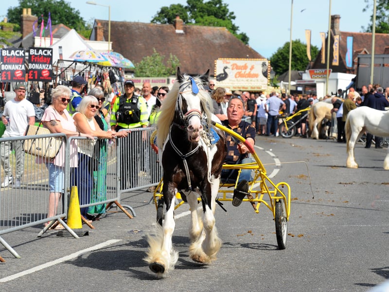 The Wickham Horse Fair attracted the crowds.
Picture: Sarah Standing (200525-7115)