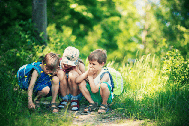 Join the team at Skelf Island Adventure Playground for daily interactive activities celebrating all things creepy-crawly native to North Yorkshire. From bug-hunts to bug hotel building, mud pie making and wildflower cork painting, there’s plenty of opportunity to get stuck in.
📍 Castle Howard, The Estate Office, Castle Howard, York, YO60 7DA